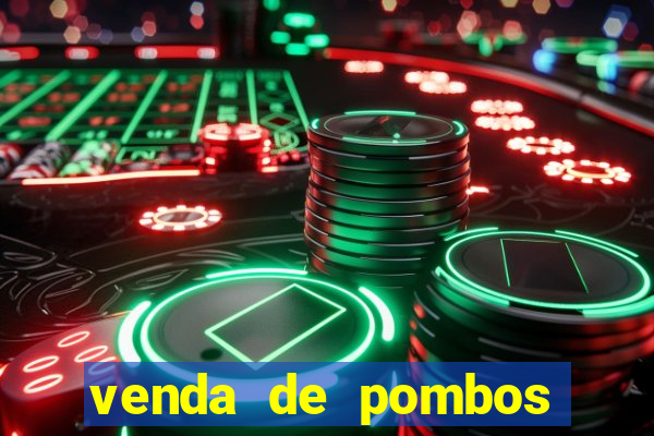 venda de pombos correios olx